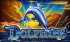 50 Dolphins slot game