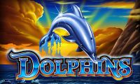 50 Dolphins by Ainsworth Games