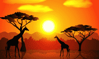 African themed slots