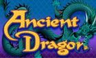 Ancient Dragon slot game