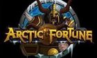Arctic Fortune slot game