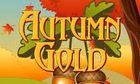 Autumn Gold slot game