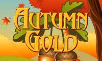 Autumn Gold slot by Eyecon