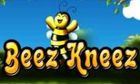 Beez Kneez slot game