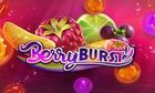 Berry burst slot game