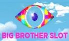 Big Brother slot game