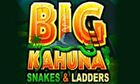 Big Kahuna 2 Snakes and Ladders slot game