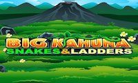 Big Kahuna Snakes Ladders slot by Microgaming