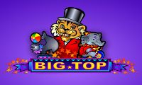 Big Top slot by Microgaming