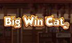 Big Win Cat slot game
