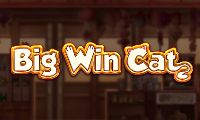 Big Win Cat slot by PlayNGo