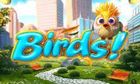 Birds slot game