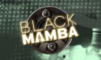 Black Mamba slot by PlayNGo