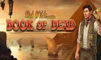 Book Of Dead slot by PlayNGo