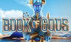 Book Of Gods slot game