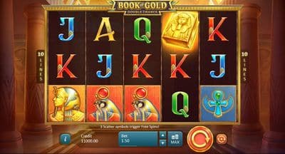 Book Of Gold Double Chance slot game