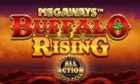 BUFFALO RISING ALL ACTION slot by Blueprint