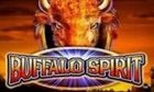Buffalo Spirit slot game