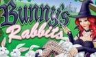 Bunnys Rabbits slot game