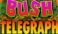 Bush Telegraph slot by Microgaming