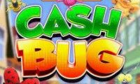 Cash Bug by Inspired Gaming