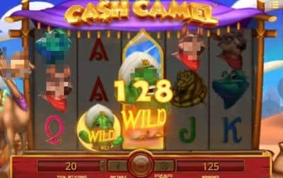 Cash Camel screenshot