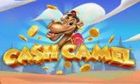 Cash Camel slot game