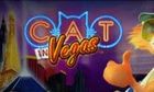 Cat in Vegas slot game