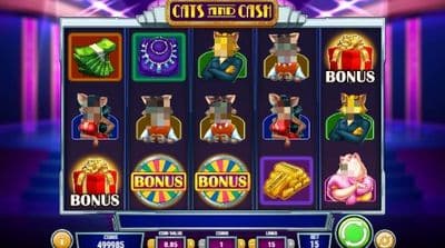 Cats And Cash features