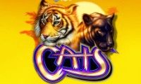 Cats slot by Igt