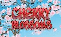 Cherry Blossoms slot by Nextgen