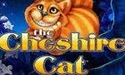 Cheshire Cat slot game