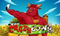 Crazy Cows slot by PlayNGo