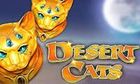 Desert Cats slot game