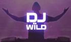 Dj Wild slot game