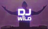Dj Wild by Elk Studios