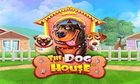 Dog House slot game