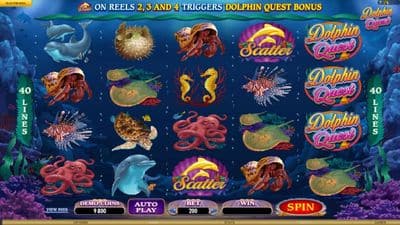 Dolphin Quest screenshot