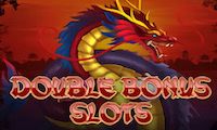 Double Bonus Slots by Skywind Group