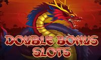 Double Bonus Slots by Skywind Group