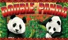 Double Panda slot game