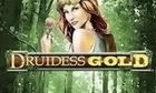 Druidess Gold slot game