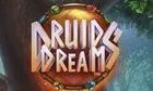 Druids Dream slot game