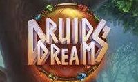 Druids Dream slot by Net Ent