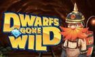 Dwarfs Gone Wild slot game