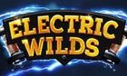 Electric Wilds slot game