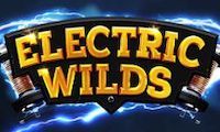 Electric Wilds by Northern Lights Gaming