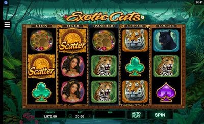 Exotic Cats screenshot