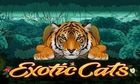 Exotic Cats slot game