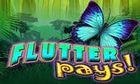 Flutter Pays slot game